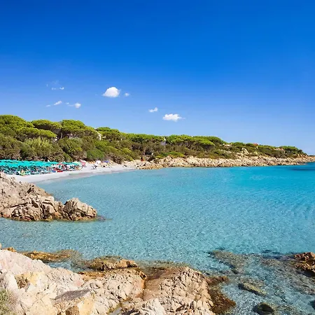 Alba Dorata منتزه العطل